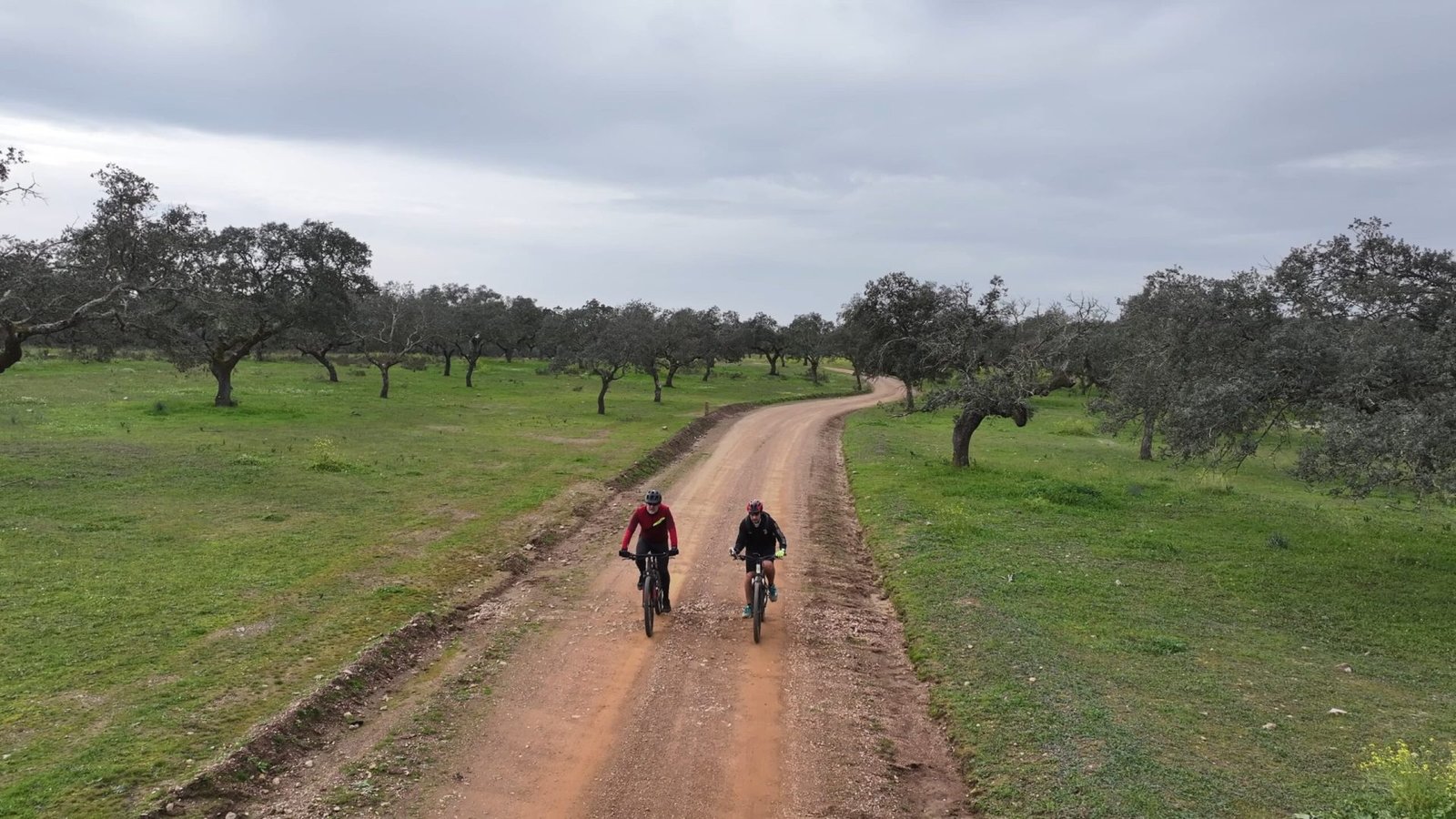 Ciclistas en el campo